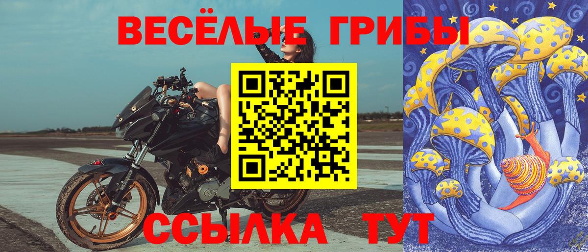 Абакан  Галлюциногенные грибы мухоморы  Вход с VPN 