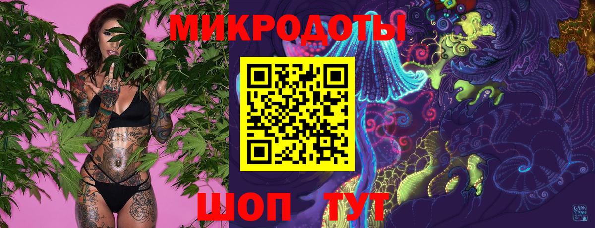 Псилоцибиновые грибы Psilocybine cubensis Абакан