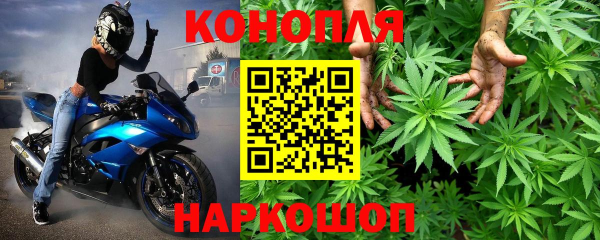 Канабис планчик  Канабис Amnesia  Вход с VPN  Каннабис Bruce Banner  Абакан 